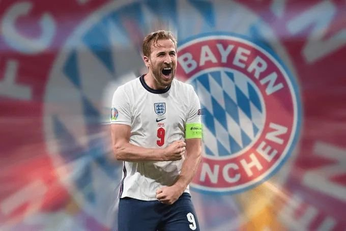 我们期待在 我们期待在